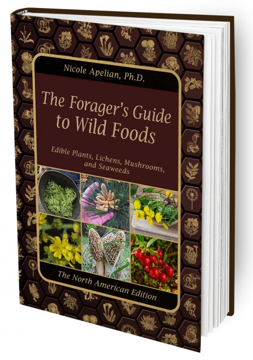 Forager's Guide to Wild Foods – BRAND NEW!