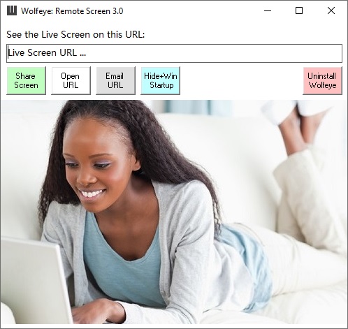 Imagen de Wolfeye Remote Screen