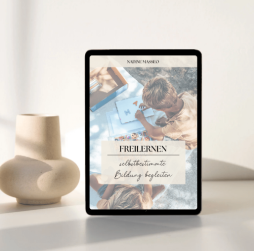 Freilernen – selbstbestimmte Bildung begleiten (E-Book)