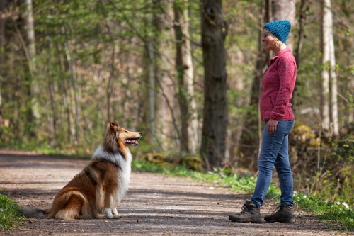 Mit Hunden sprechen – Körpersprache im Hundetraining