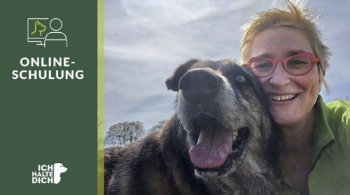Lass das Glück mit deinem neuen Hund einziehen