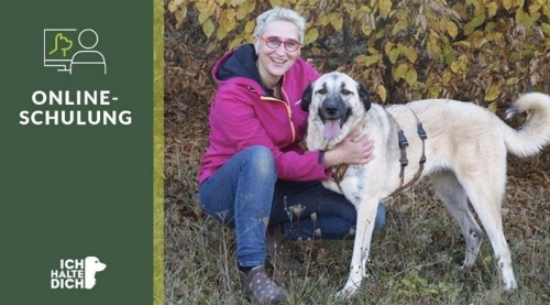 Wecke den Optimisten in deinem Hund – Mirjam Cordt