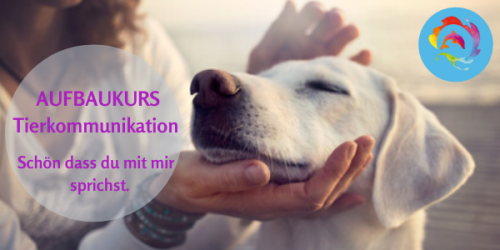 Begib dich auf eine spannende Reise zur Vertiefung deiner Fähigkeiten und entdecke eine intensive Verbindung zu deinem Tier.