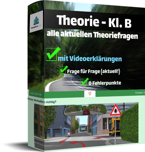 So besteht jede/r die Theorieprüfung product illustration