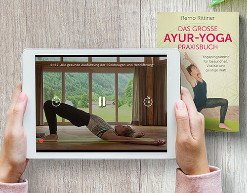 Der gesunde und ganzheitliche Ayur-Yoga-Basis-Kurs product illustration