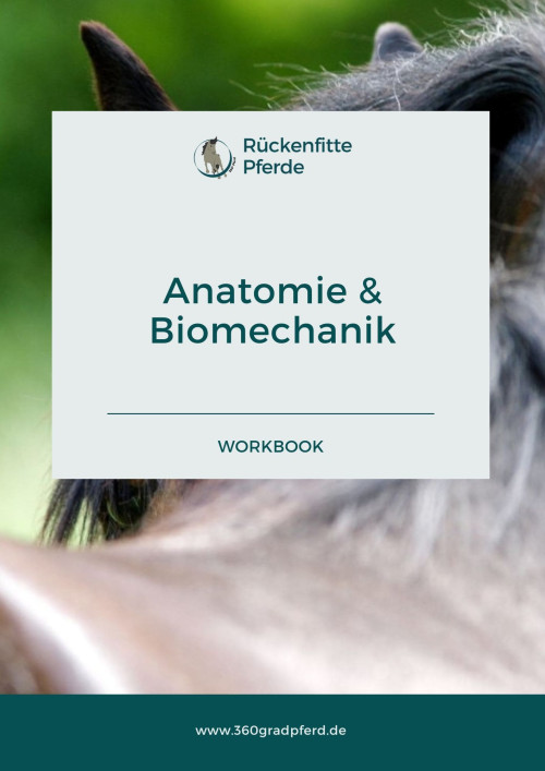 Anatomie und Biomechanik des Pferdes (E-Book)