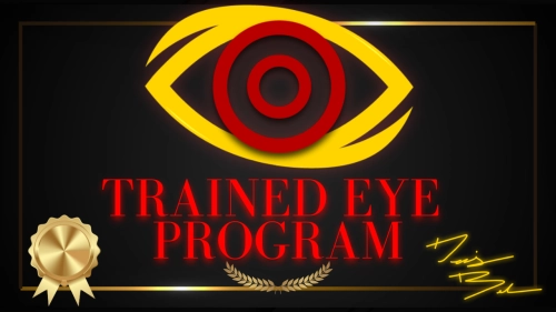 The Trained Eye Program