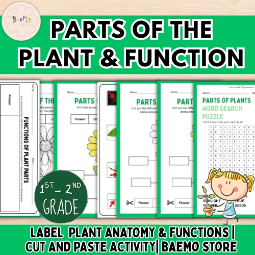 Parts of a Plant Worksheets for Kids (K-2)