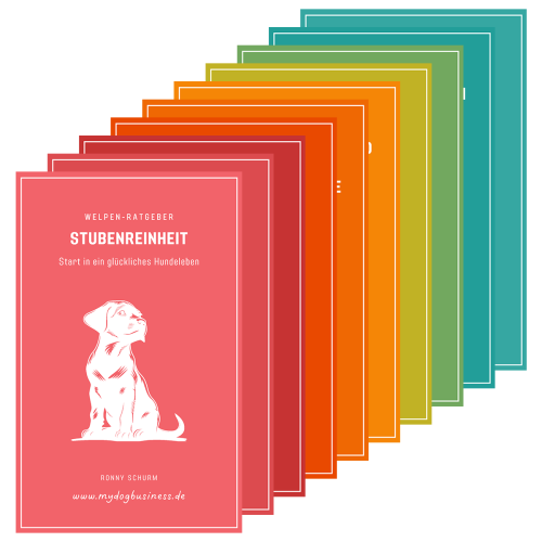 Hundewelpen-Ratgeber 1–10 (E-Book-Serie)