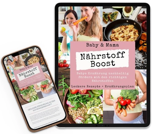 Nährstoff-Boost für Schwangerschaft und Geburt (E-Book)