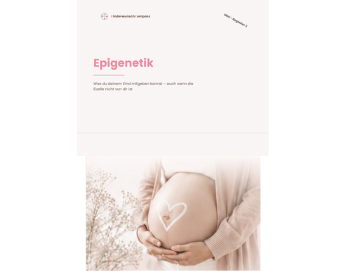 Cover: Epigenetik Mini-Begleiter