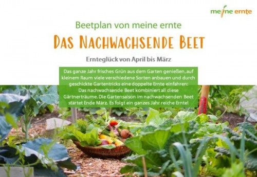 Beetplan „Das nachwachsende Beet“