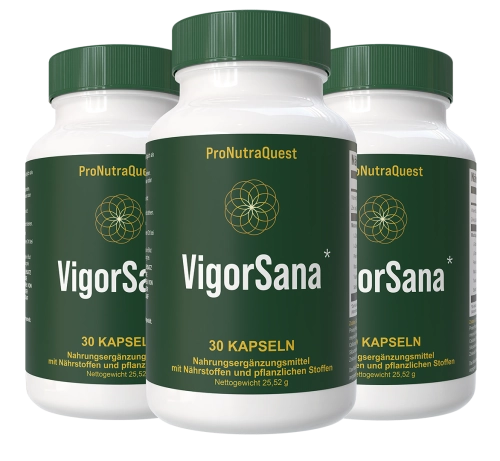 VigorSana - Premium DACH Men's Performance