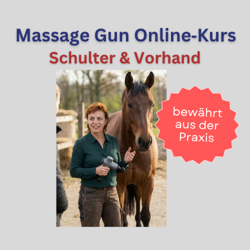 Massage Gun beim Pferd – Schulterbereich
