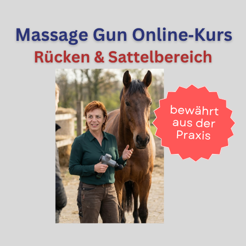 Massage Gun beim Pferd – Rückenbereich