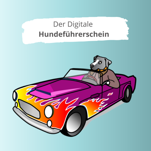 Hundewissen Sachkunde – Der digitale Hundeführerschein