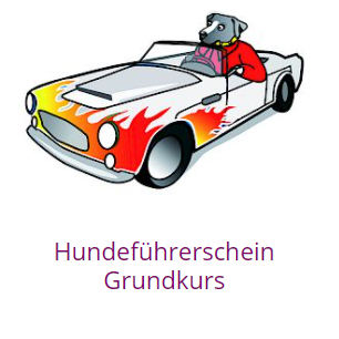 Hundeführerschein Basic