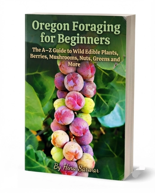 Oregon Foraging for Beginners