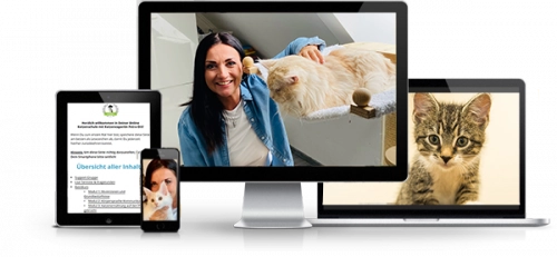 Online-Katzentraining mit Constance Böhle
