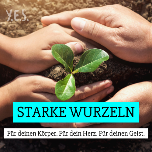Starke Wurzeln – Kurs für Kinder und Eltern